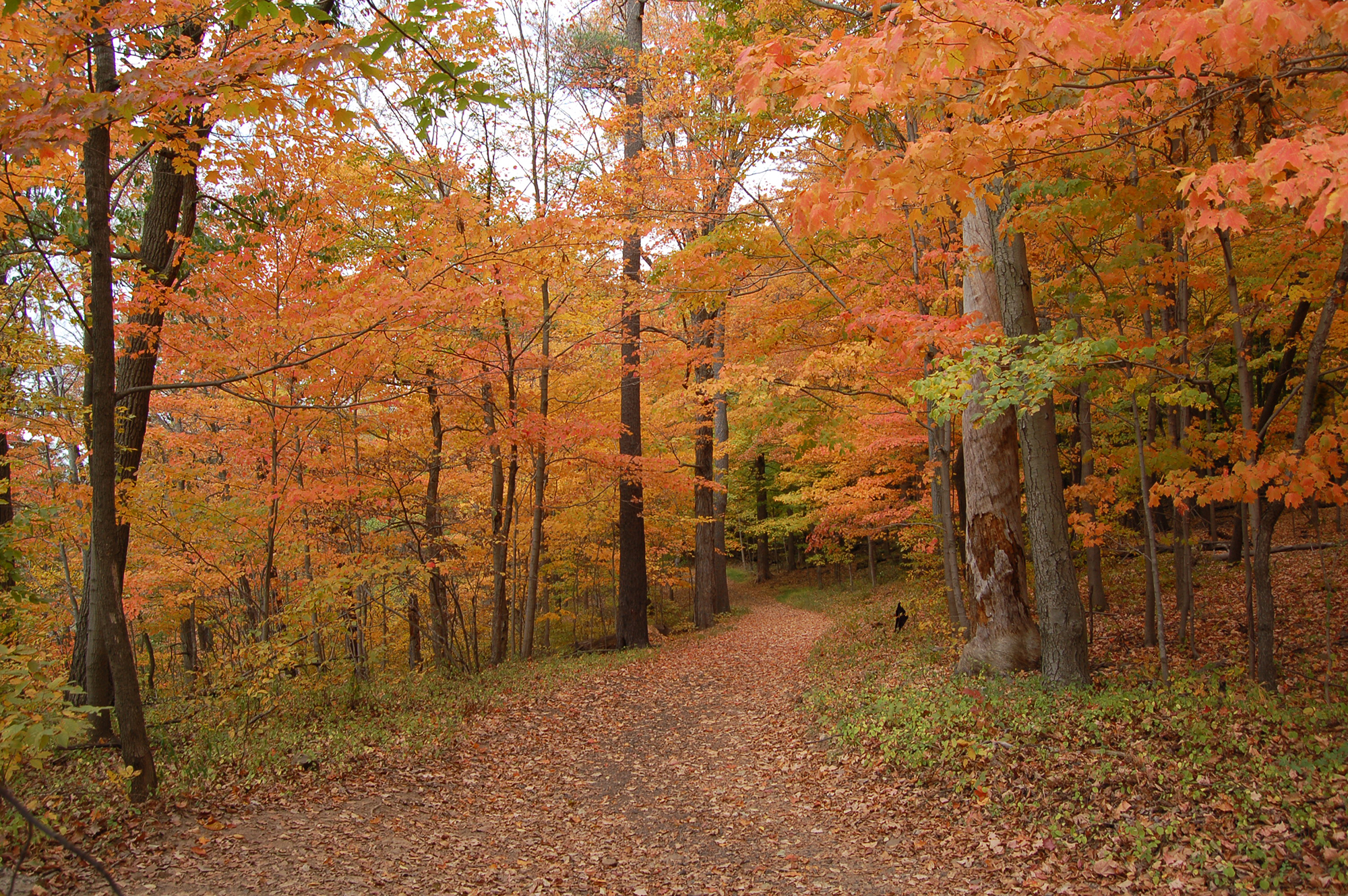 Washington-Valley-Park-2k.jpg